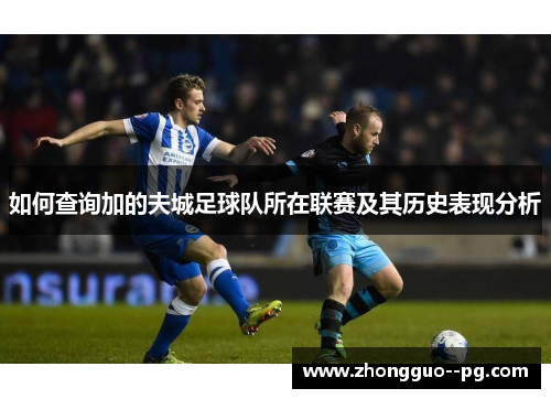 如何查询加的夫城足球队所在联赛及其历史表现分析