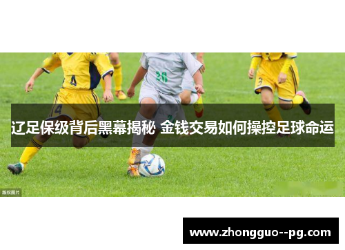 辽足保级背后黑幕揭秘 金钱交易如何操控足球命运