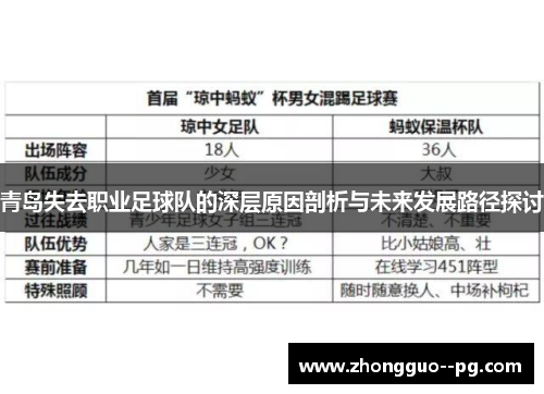 青岛失去职业足球队的深层原因剖析与未来发展路径探讨